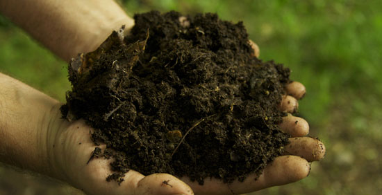 آزمایشگاه آنالیز کود